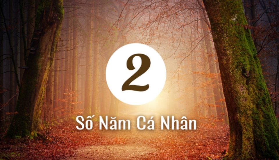 Tổng quan về năm cá nhân số 2 đối với thế giới