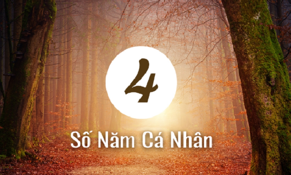 Tổng quan năm cá nhân số 4