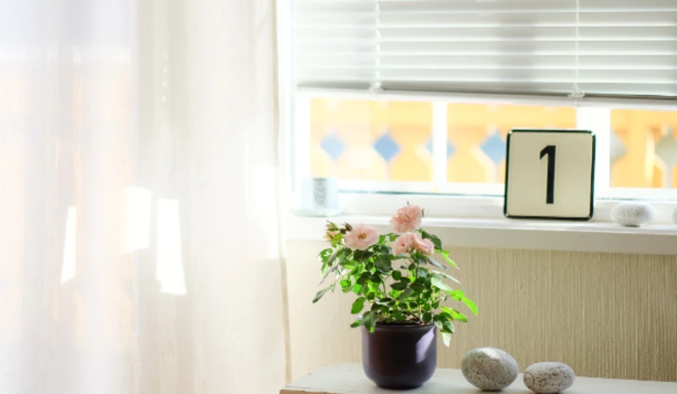 Năm cá nhân số 9 với người sở hữu số chủ đạo là 1