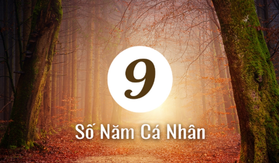 Tổng quan về năm cá nhân số 9