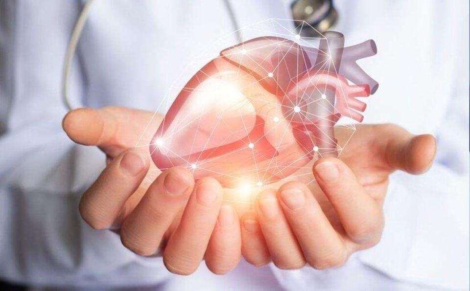 Ăn cá đối sẽ giúp tăng cường sức khỏe tim mạch
