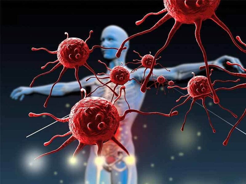 Việc ăn cá đối thường xuyên giúp ngăn ngừa các bệnh tự miễn