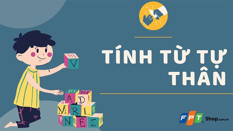 Tính từ là gì? - hình 4