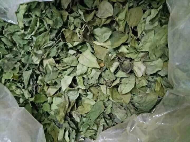 Cách làm thạch găng - ảnh 2