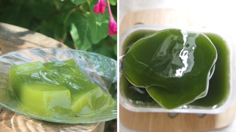 Sự khác nhau giữa thạch găng và sương sâm