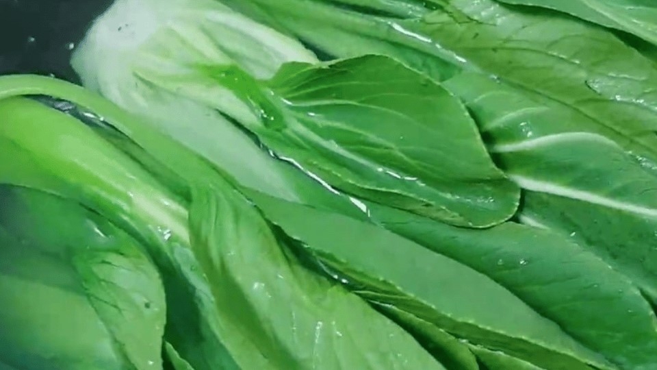 Sơ chế nguyên liệu