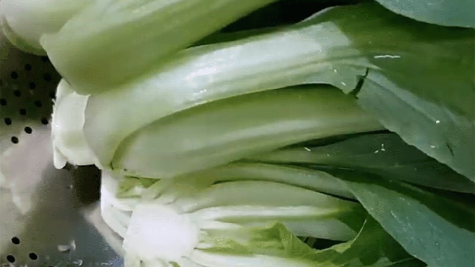 Lựa cải ngon