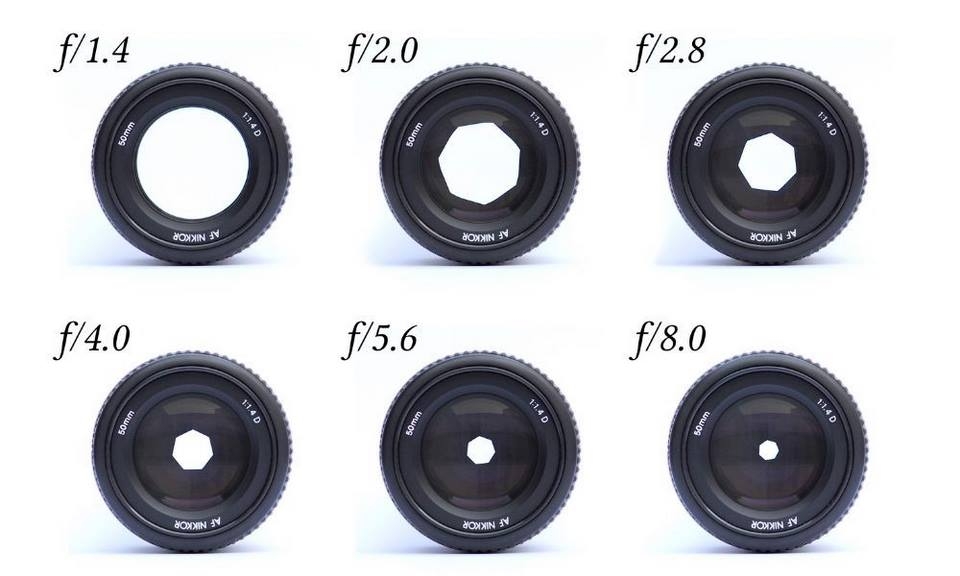 Tìm hiểu những yếu tố về độ sâu trường ảnh