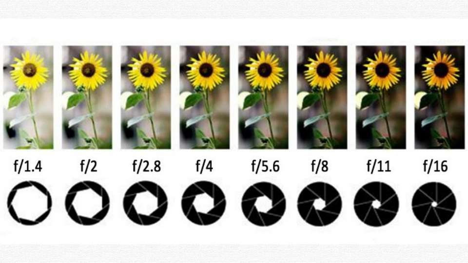 Đánh giá quá trình xác định khẩu độ