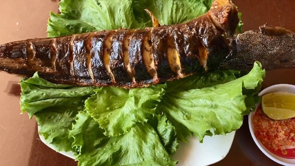 cá trê làm món gì ngon - ảnh 10