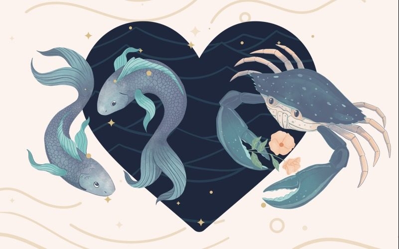 Các cung hoàng đạo hợp nhau: Sự kết hợp đặc biệt trong tình yêu và cuộc sống - hình 9