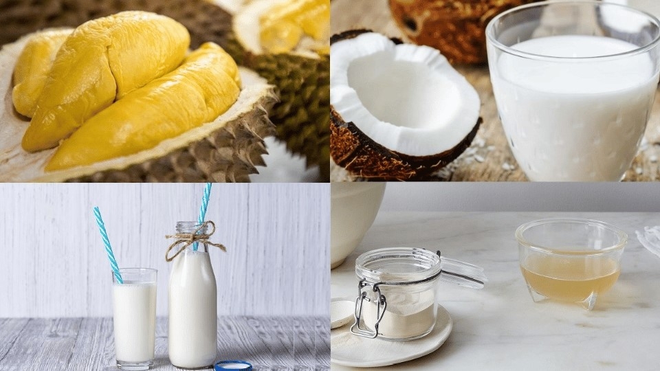 Nguyên liệu làm chè sầu