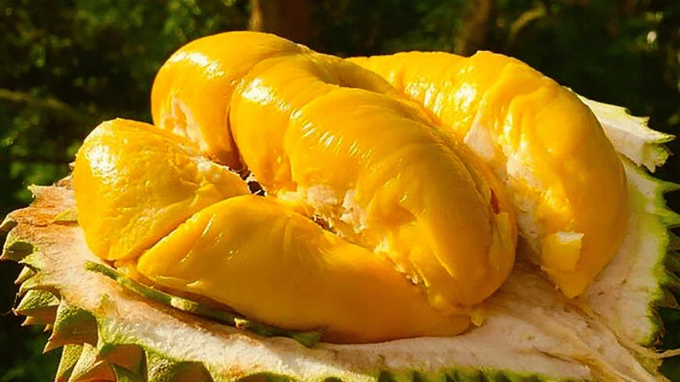 Sơ chế sầu riêng