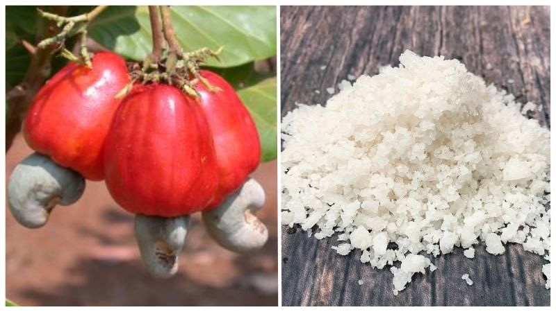 nước mắm chay-ảnh 5