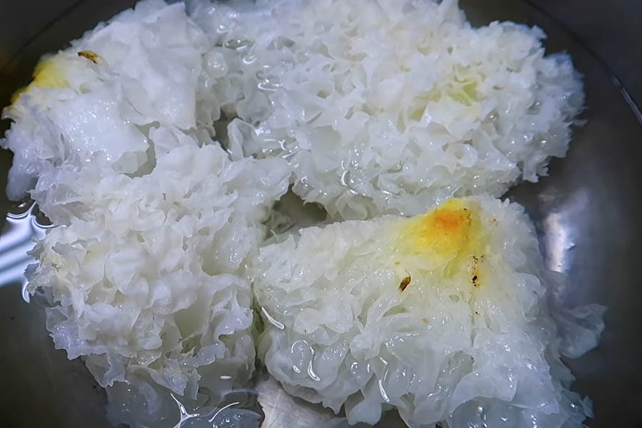 Cách nấu sâm bổ lượng bắt đầu