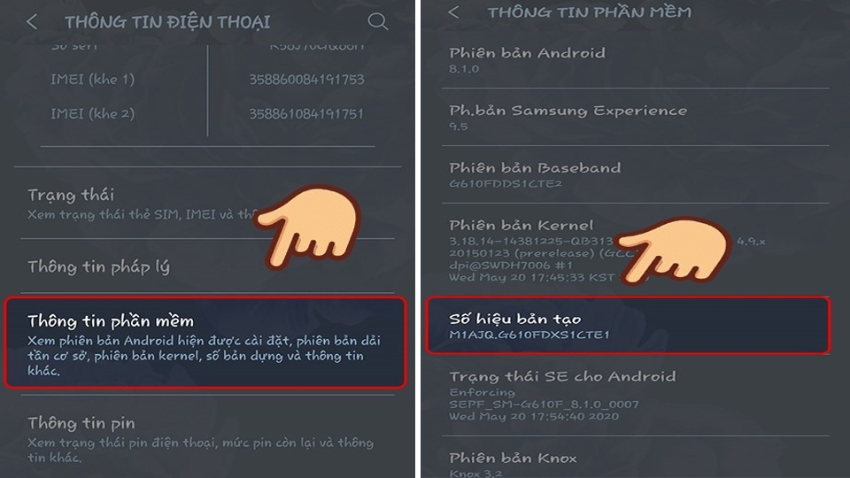 Chọn Thông tin phần mềm > Nhấn 5 lần vào Số hiệu bản tạo để mở Cài đặt nhà phát triển