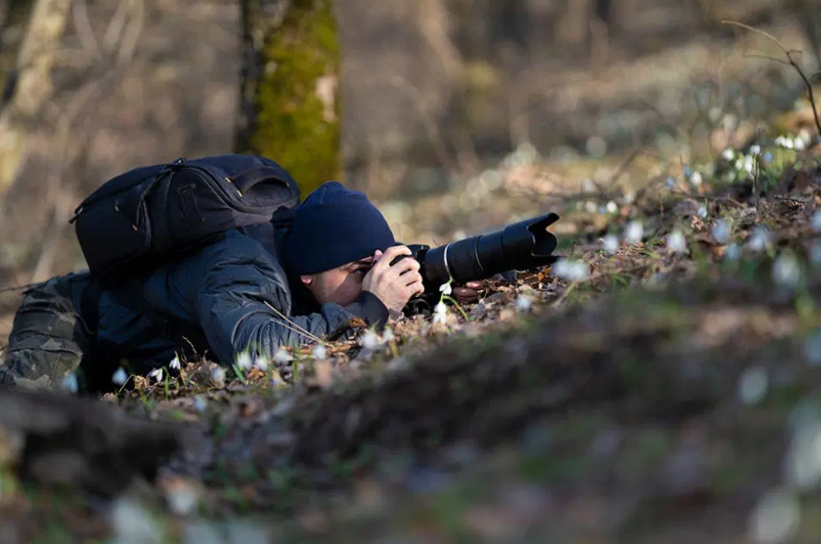 Tiêu cự là gì 8