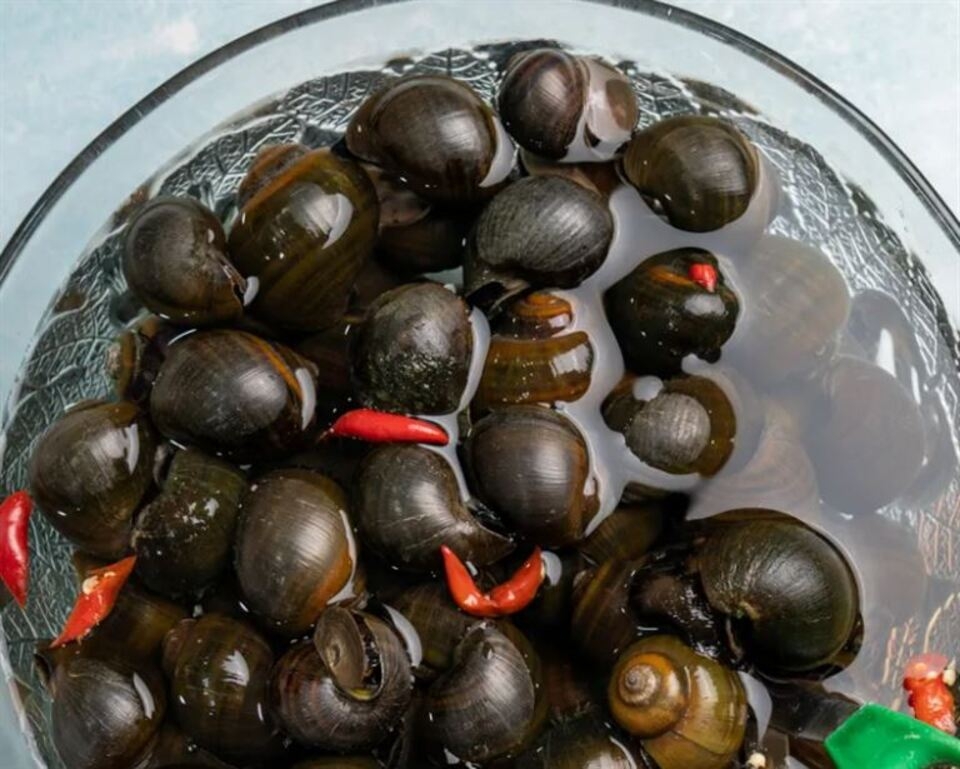 Sơ chế ốc bươu sạch sẽ