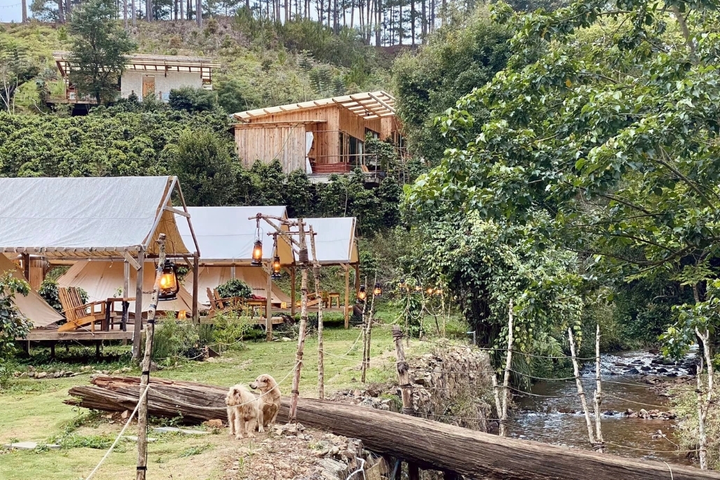 Glamping Twin Beans Farm, Đà Lạt