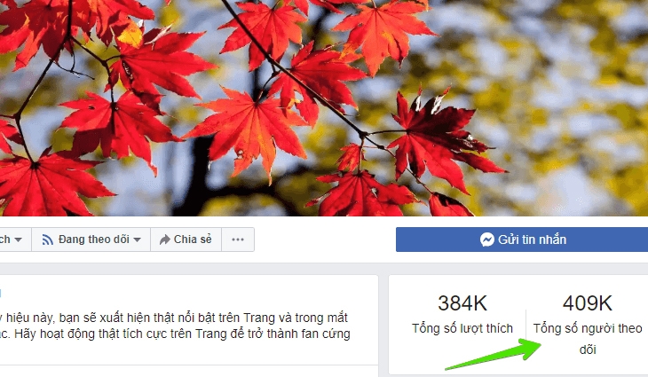 Những lưu ý khi dùng tích xanh Facebook 2