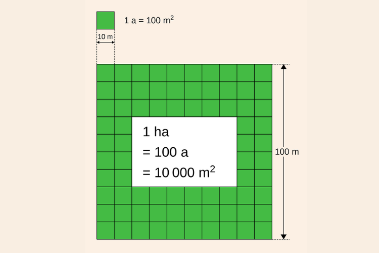 1ha Bao Nhiêu m - Tìm Hiểu Chi Tiết Về Diện Tích Hecta