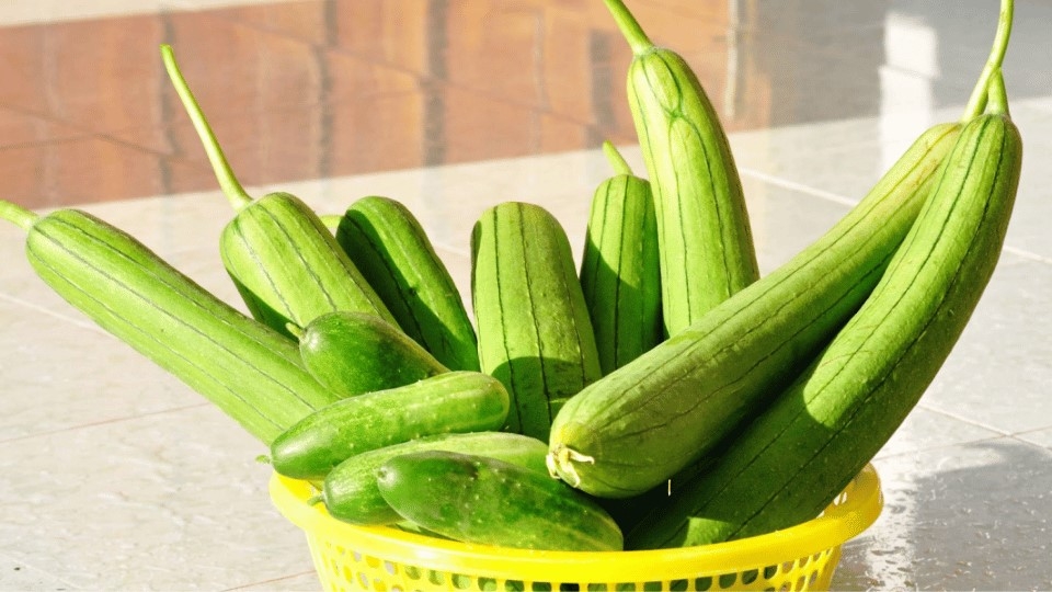 Cách chọn mướp ngon