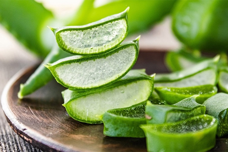 Sơ chế nguyên liệu làm thạch trái cây nha đam