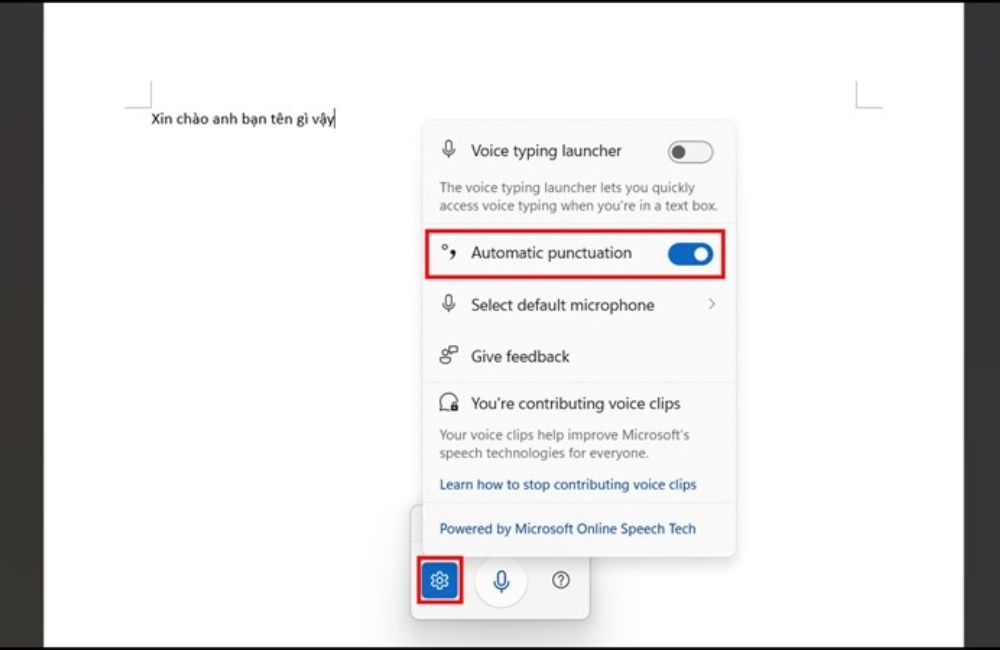 ngắt dấu câu bằng Automatic Punctuation