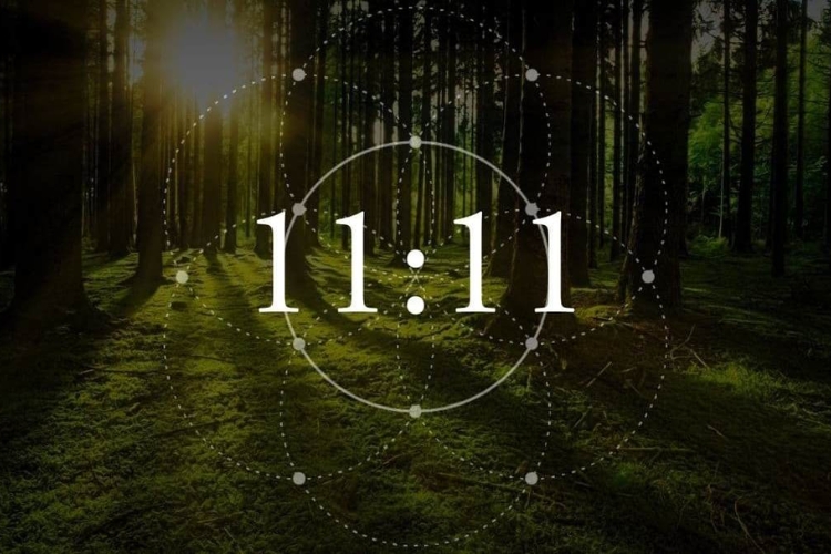 ngày 11/11 là ngày gì