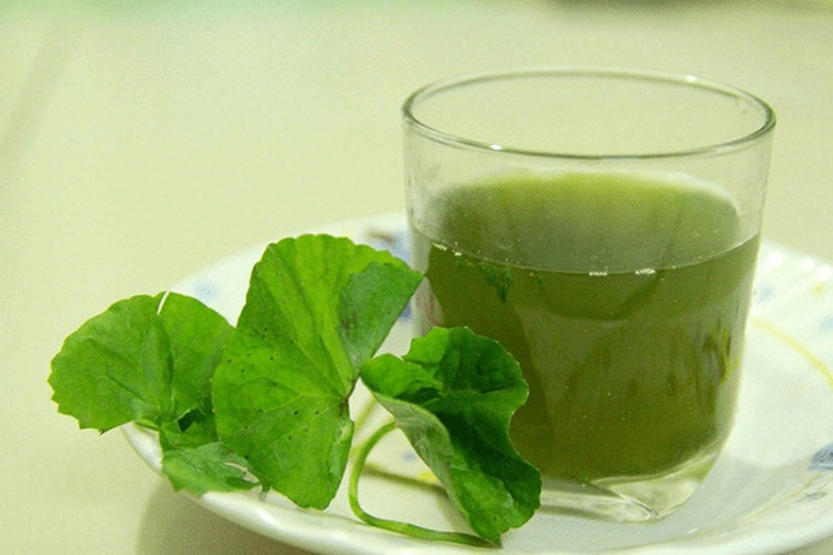 Chia sẻ 3 công thức làm nước ép rau má thanh mát (Hình 10)