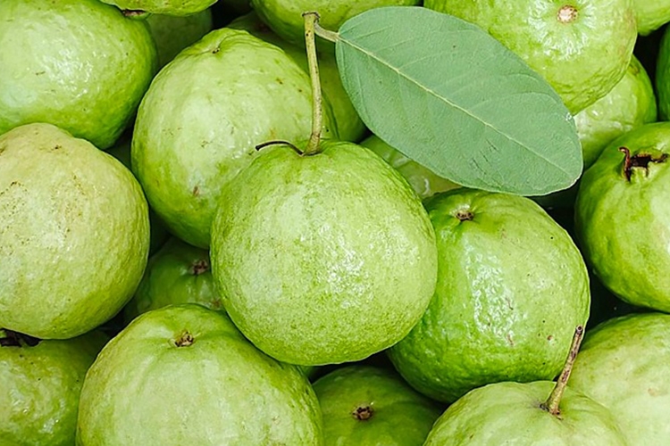 Chia sẻ 3 công thức làm nước ép rau má thanh mát (Hình 12)