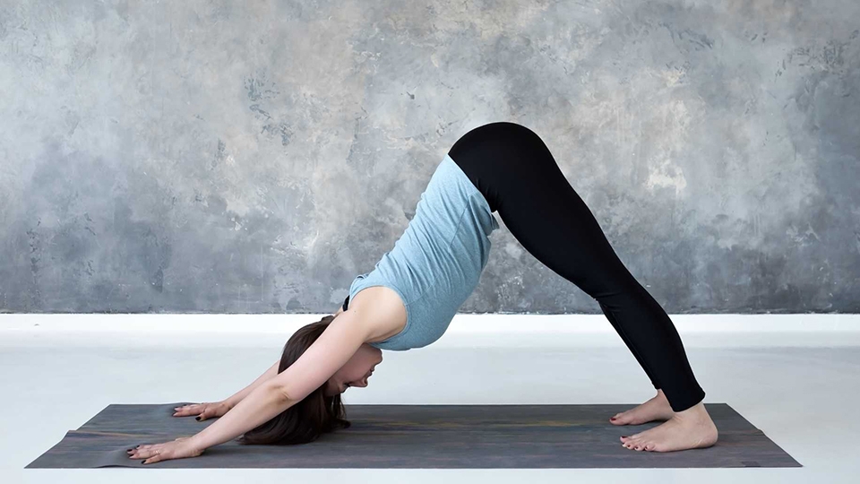 Tư thế chữ V ngược (Downward Facing Dog Pose)