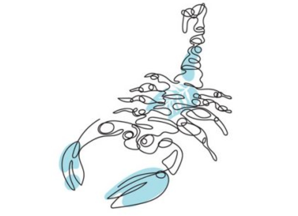 Mọc Xử Nữ khi kết hợp cùng mặt trời Bọ Cạp