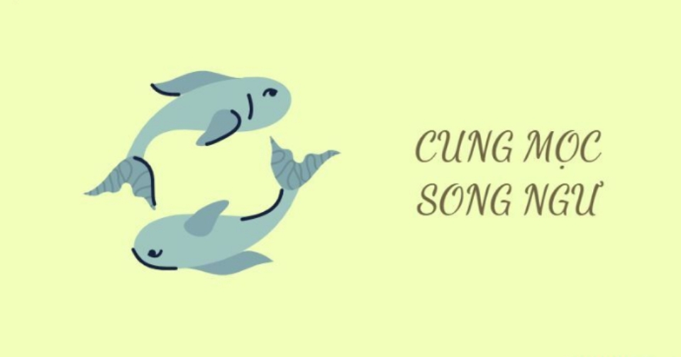 Ngoại hình chung của cung mọc Song Ngư