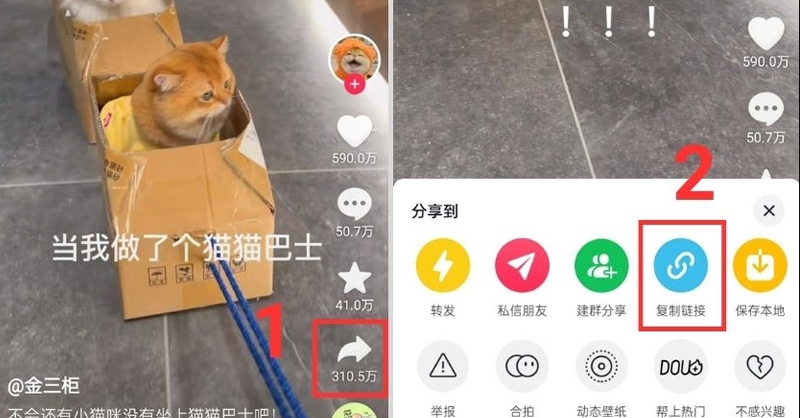 Hướng dẫn cách tải video Douyin về điện thoại cực đơn giản, thao tác nhanh chóng 8