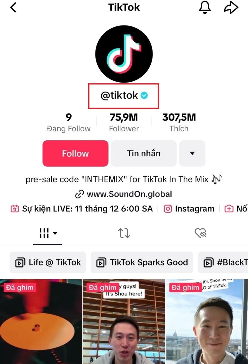 Mỗi tài khoản sẽ có một ID TikTok riêng