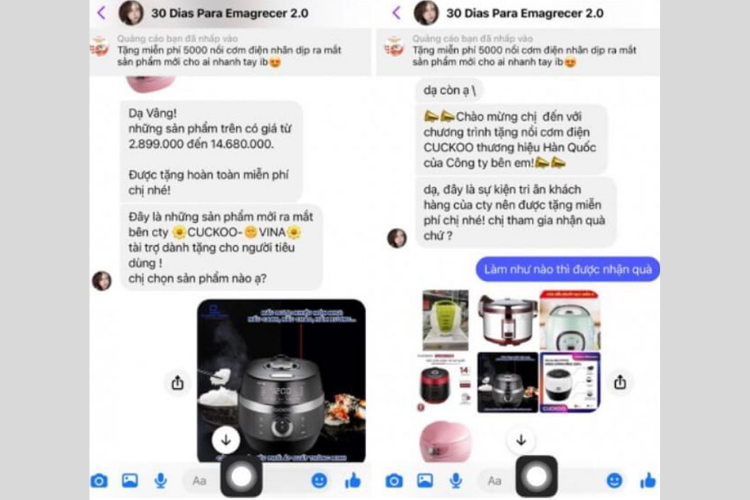 Kiếm tiền trên Telegram có lừa đảo không? Bị lừa phải làm sao 1