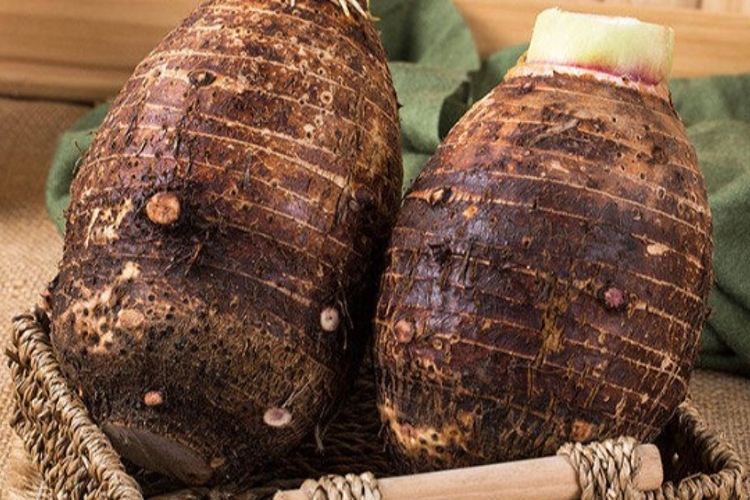 Bí kíp làm trà sữa khoai môn (Hình 14)