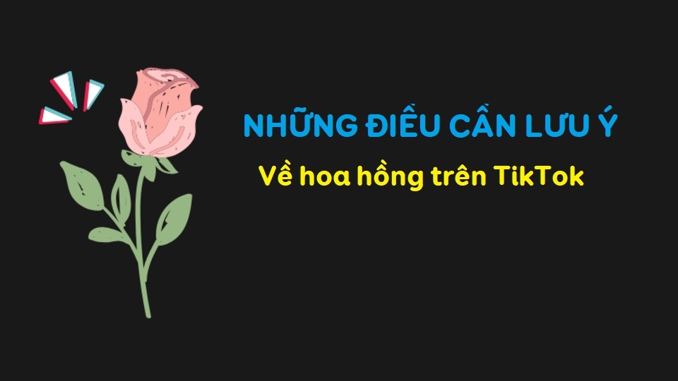 Những điều cần lưu ý về hoa hồng trên TikTok