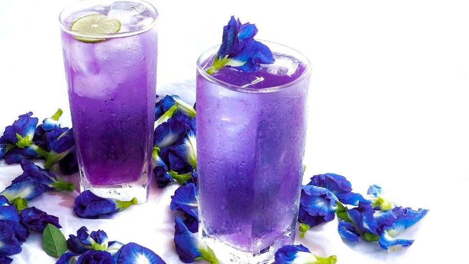 trà hoa đậu biếc pha với chanh