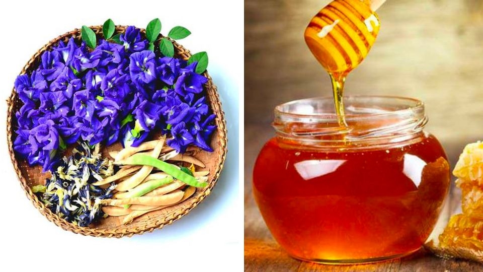 hoa đậu biếc và mật ong