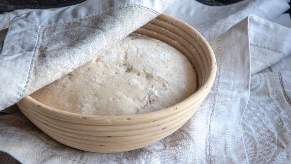 Cho bột nghỉ trong 1 tiếng