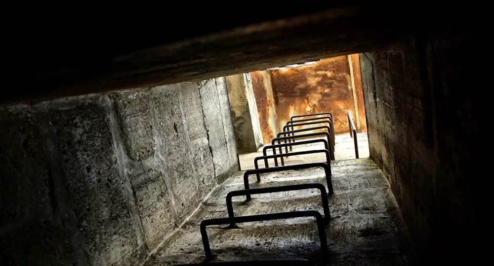 Zombie có thật không? Sự chuẩn bị trước cho thảm họa và bệnh dịch thực tế là cần thiết 4