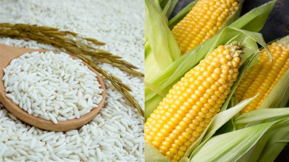 Nguyên liệu nấu món xôi bắp nước cốt dừa