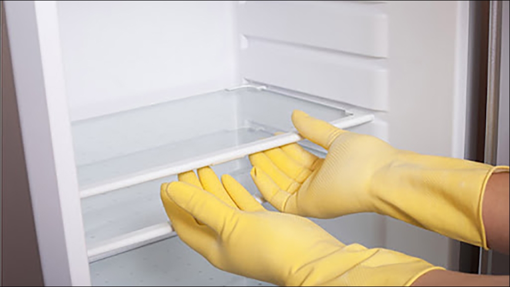 Đặt các khay của tủ lạnh về vị trí ban đầu