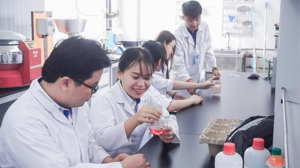 Khối ngành khoa học cơ bản
