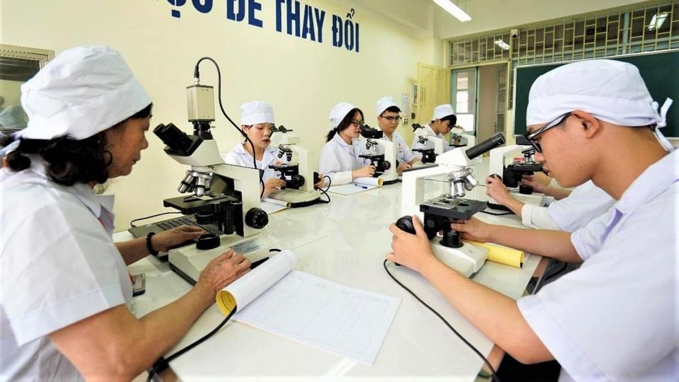 Khối ngành y tế sức khỏe.