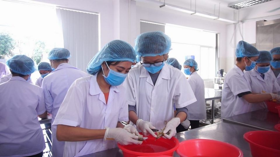 Khối ngành Nông - Lâm - Ngư nghiệp.