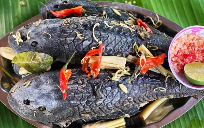 Cá lau kiếng hấp sả
