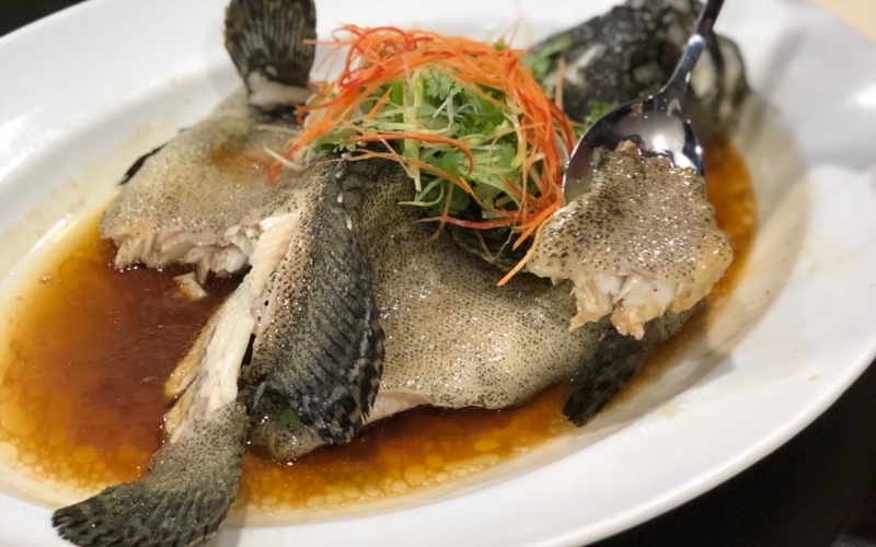 Cá mú hấp Hong Kong